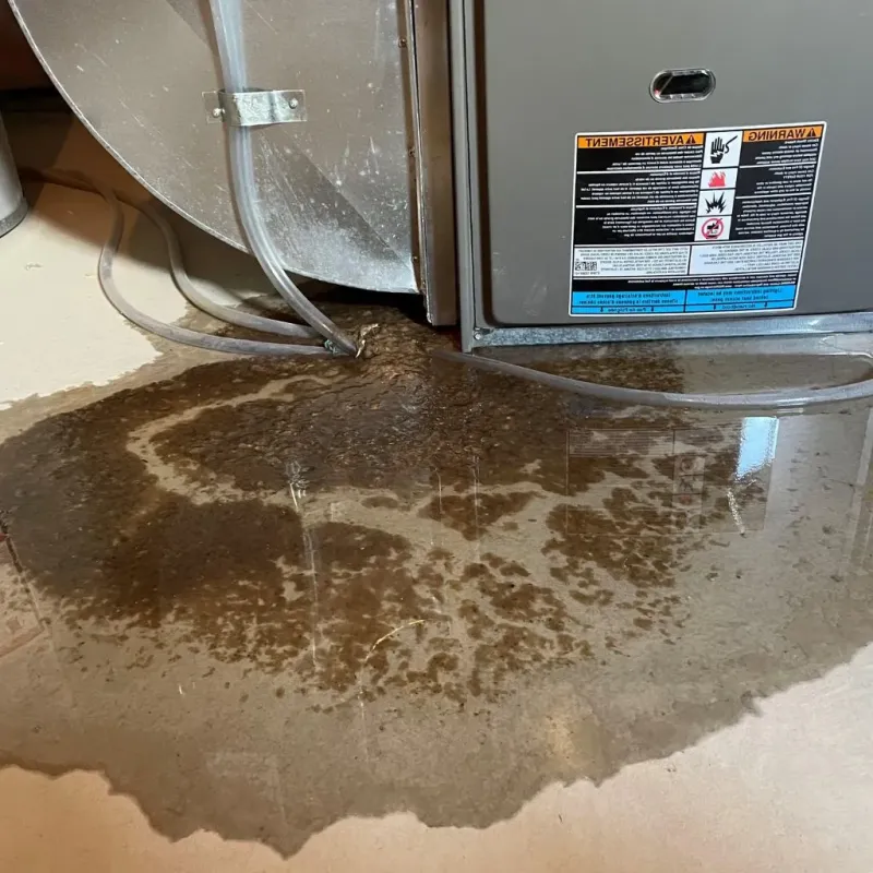 Pipe Burst and Leak Restoration in Hingham, MA